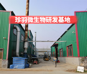 合作見證